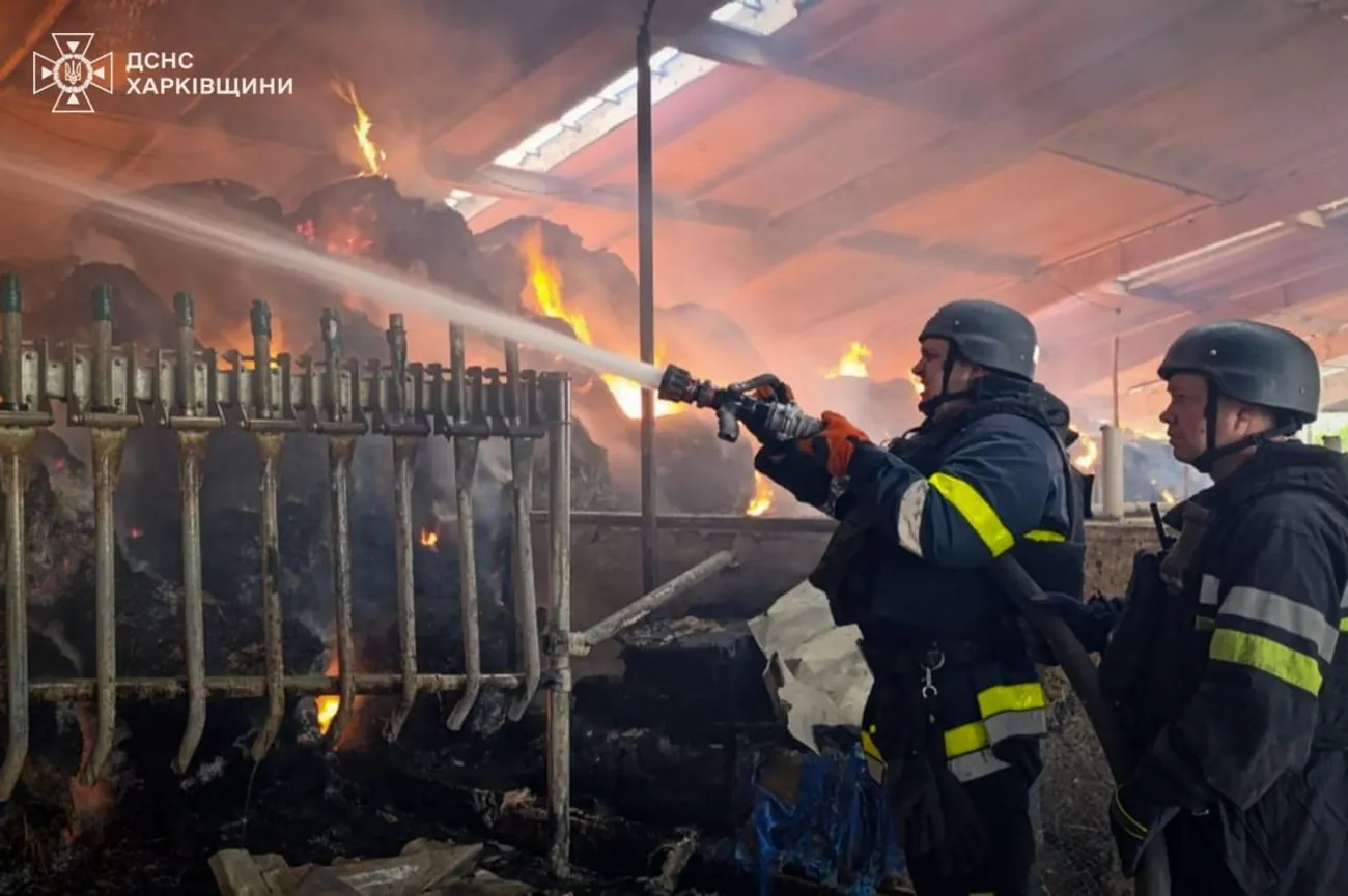 Армія рф скинула авіабомбу на агропідприємство у Харківській області: двоє людей поранені, загинула худоба