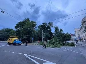 Power outages, fallen trees: bad weather rages in Lviv