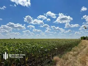 На Дніпропетровщині роками незаконно засівали танковий полігон: судитимуть посадовця