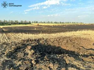 Ворог знищує хлібні поля на Харківщині: 60 гектарів пшениці згоріло - ДСНС
