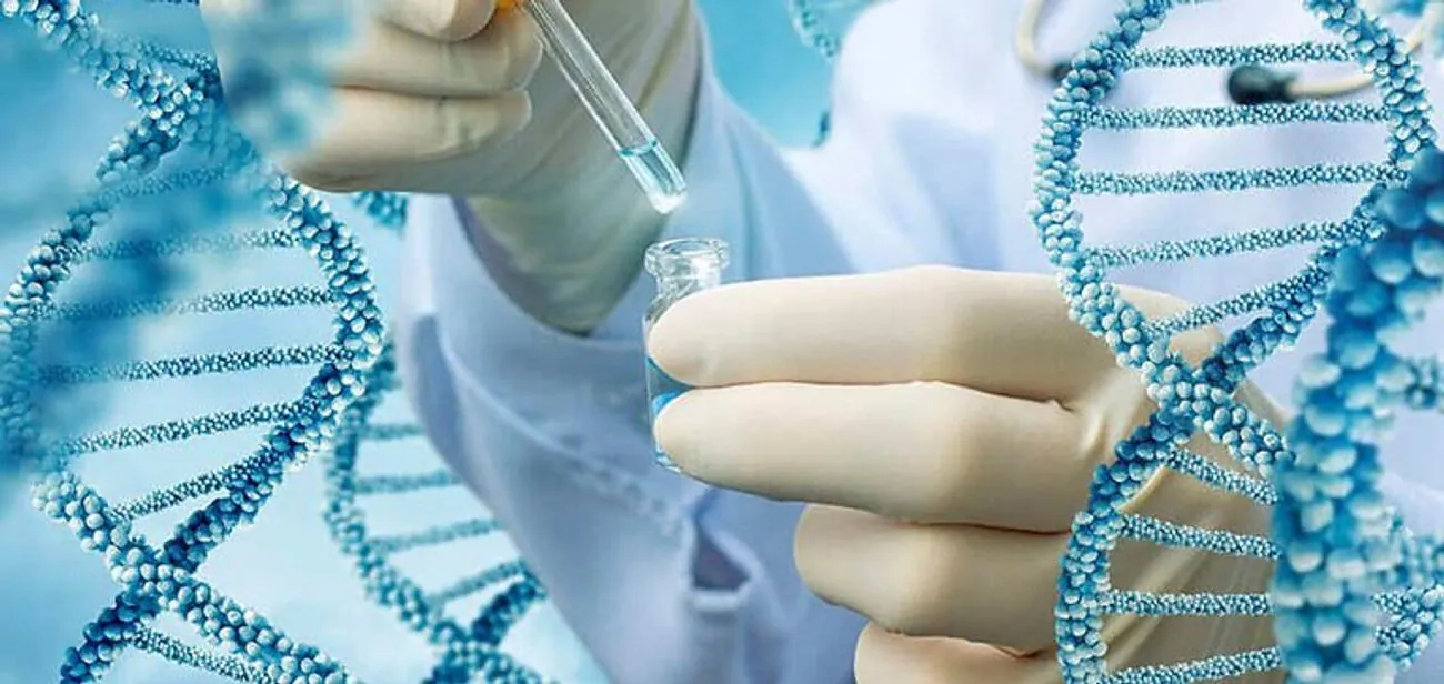 Сбор ДНК украинцев в Балтии и Северной Европе для поиска пропавших родственников: как записаться и сколько продлится Сбор ДНК украинцев в Балтии и Северной Европе для поиска пропавших родственников: как записаться и сколько продлится