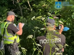 В Сумской области в лесополосе нашли тело пропавшей 17-летней девушки: есть повреждения, характерные для изнасилования